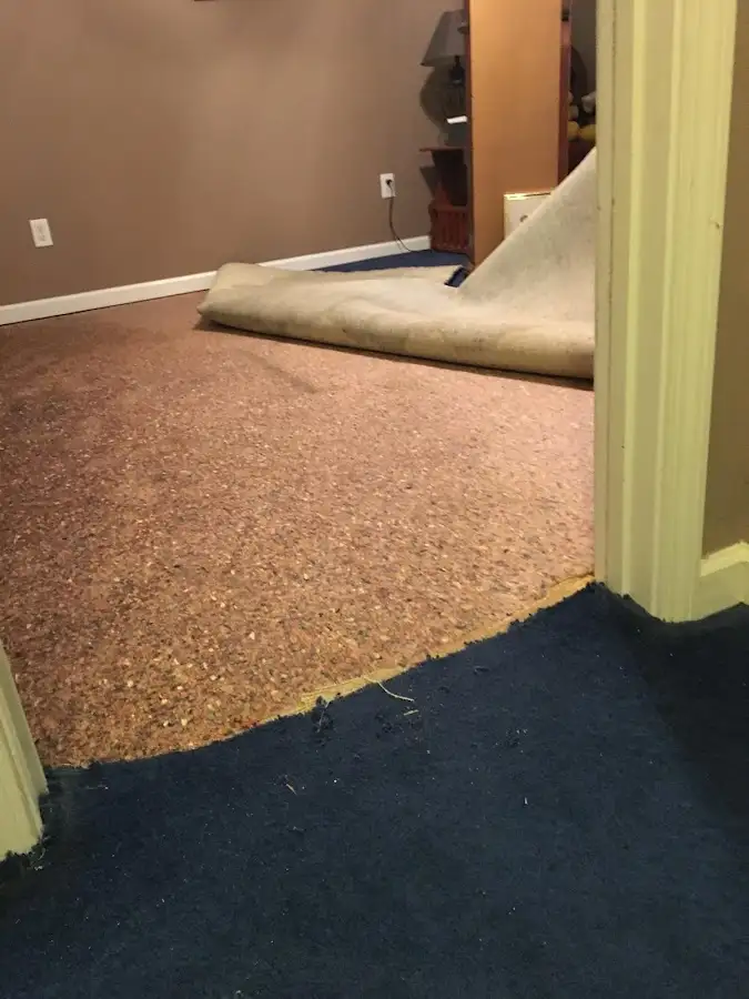 Carpet pad removal revealing water damage during Water Mitigation Services in Ferguson