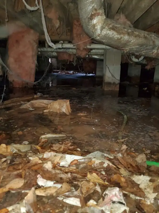 Crawl space flood assessment for Leak Detection & Repair in Ferguson